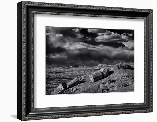 Petrified Forest National Park, Arizona-Jerry Ginsberg-Framed Photographic Print