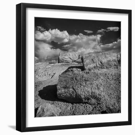 Petrified Forest National Park, Arizona-Jerry Ginsberg-Framed Photographic Print