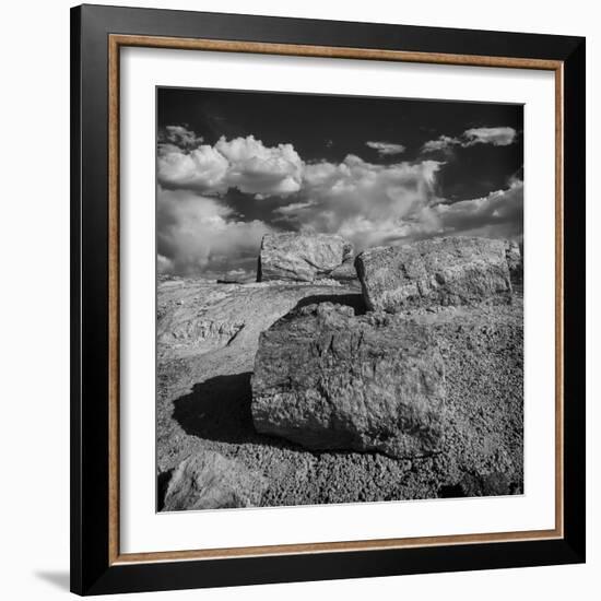 Petrified Forest National Park, Arizona-Jerry Ginsberg-Framed Photographic Print