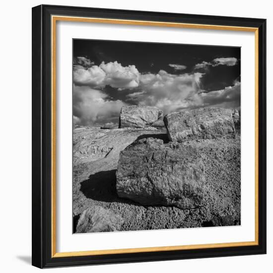 Petrified Forest National Park, Arizona-Jerry Ginsberg-Framed Photographic Print