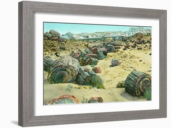 Petrified Forest-Alan Paul-Framed Art Print