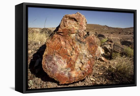 Petrified Log, Crystal Forest, Petrified Forest National Park, Arizona-Rob Sheppard-Framed Premier Image Canvas