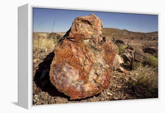 Petrified Log, Crystal Forest, Petrified Forest National Park, Arizona-Rob Sheppard-Framed Premier Image Canvas