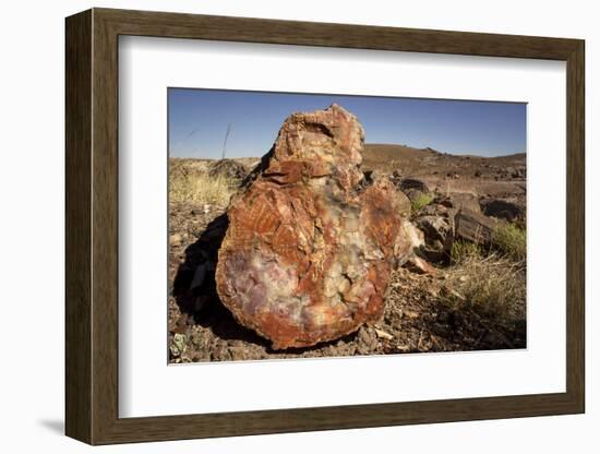 Petrified Log, Crystal Forest, Petrified Forest National Park, Arizona-Rob Sheppard-Framed Photographic Print