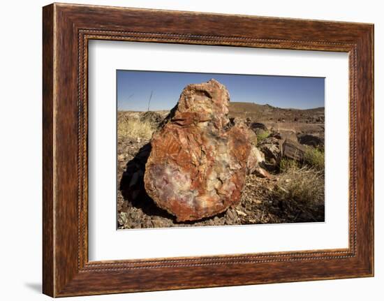 Petrified Log, Crystal Forest, Petrified Forest National Park, Arizona-Rob Sheppard-Framed Photographic Print