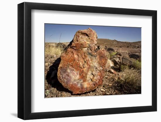 Petrified Log, Crystal Forest, Petrified Forest National Park, Arizona-Rob Sheppard-Framed Photographic Print