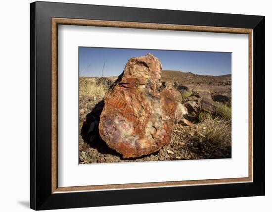 Petrified Log, Crystal Forest, Petrified Forest National Park, Arizona-Rob Sheppard-Framed Photographic Print