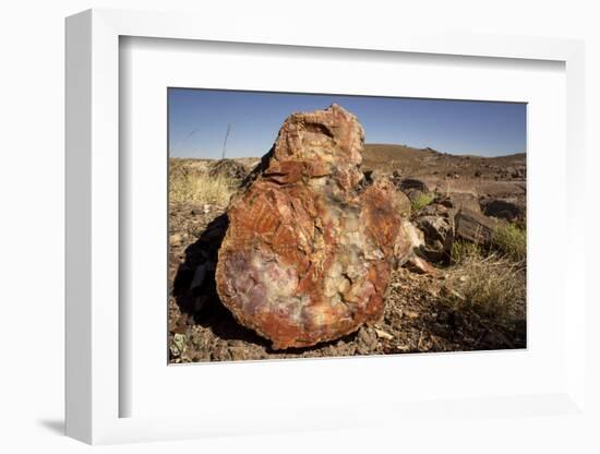 Petrified Log, Crystal Forest, Petrified Forest National Park, Arizona-Rob Sheppard-Framed Photographic Print