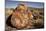 Petrified Log, Crystal Forest, Petrified Forest National Park, Arizona-Rob Sheppard-Mounted Photographic Print