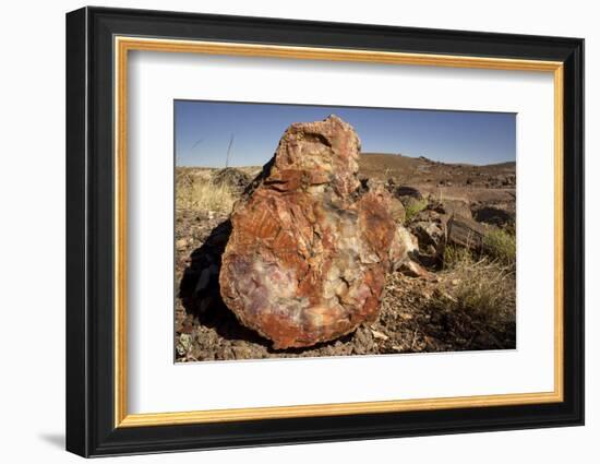 Petrified Log, Crystal Forest, Petrified Forest National Park, Arizona-Rob Sheppard-Framed Photographic Print