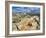 Petrified Logs Exposed by Erosion, Painted Desert and Petrified Forest, Arizona, Usa May 2007-Philippe Clement-Framed Photographic Print