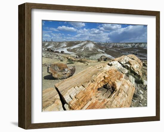 Petrified Logs Exposed by Erosion, Painted Desert and Petrified Forest, Arizona, Usa May 2007-Philippe Clement-Framed Photographic Print