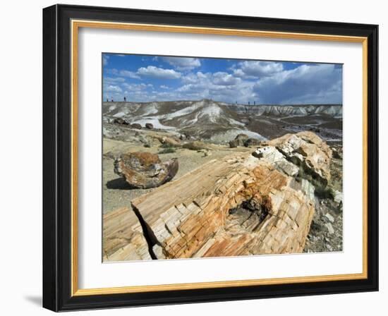 Petrified Logs Exposed by Erosion, Painted Desert and Petrified Forest, Arizona, Usa May 2007-Philippe Clement-Framed Photographic Print