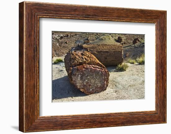 Petrified logs, Petrified Forest National Park, Holbrook, Arizona, USA-Michel Hersen-Framed Photographic Print