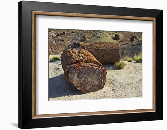 Petrified logs, Petrified Forest National Park, Holbrook, Arizona, USA-Michel Hersen-Framed Photographic Print