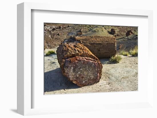 Petrified logs, Petrified Forest National Park, Holbrook, Arizona, USA-Michel Hersen-Framed Photographic Print