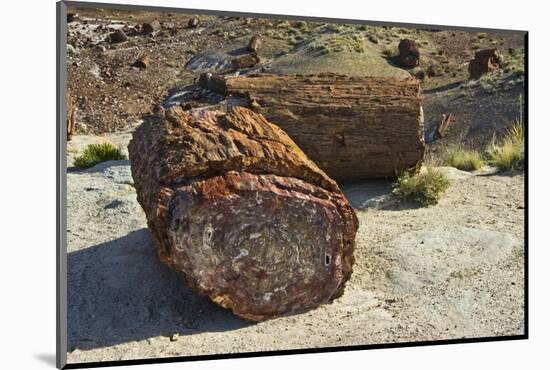 Petrified logs, Petrified Forest National Park, Holbrook, Arizona, USA-Michel Hersen-Mounted Photographic Print