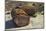 Petrified logs, Petrified Forest National Park, Holbrook, Arizona, USA-Michel Hersen-Mounted Photographic Print