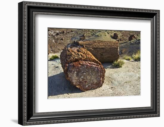 Petrified logs, Petrified Forest National Park, Holbrook, Arizona, USA-Michel Hersen-Framed Photographic Print