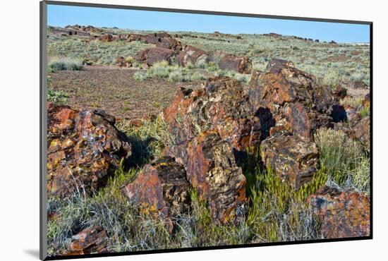 Petrified logs, Petrified Forest National Park, Holbrook, Arizona, USA.-Michel Hersen-Mounted Photographic Print