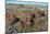 Petrified logs, Petrified Forest National Park, Holbrook, Arizona, USA.-Michel Hersen-Mounted Photographic Print