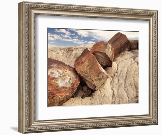 Petrified Logs-Joe McDonald-Framed Photographic Print