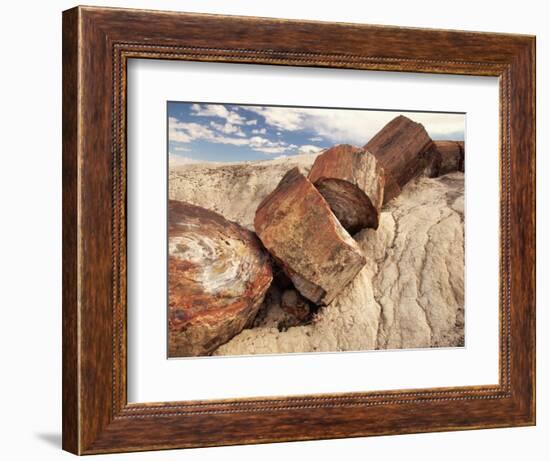 Petrified Logs-Joe McDonald-Framed Photographic Print