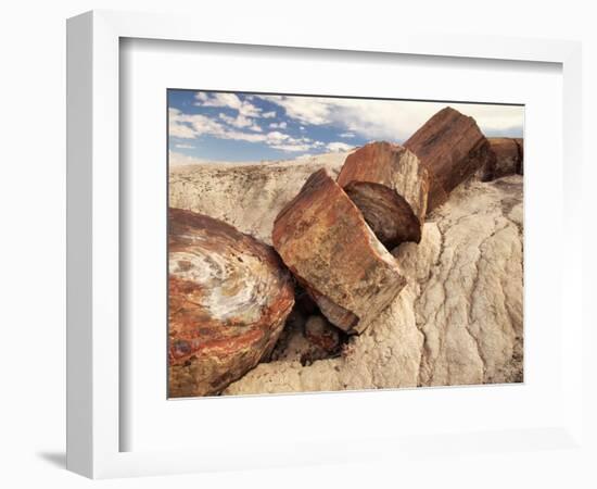 Petrified Logs-Joe McDonald-Framed Photographic Print