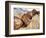 Petrified Logs-Joe McDonald-Framed Photographic Print