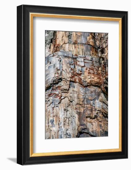 Petrified tree, Yellowstone National Park, Wyoming, USA-Roddy Scheer-Framed Photographic Print