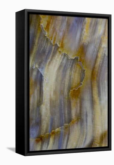 Petrified Wood Close-Up-Darrell Gulin-Framed Premier Image Canvas