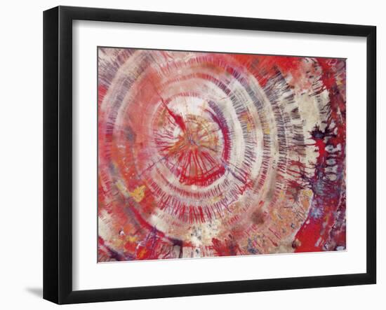 Petrified Wood, Close-Up-moodboard-Framed Photographic Print