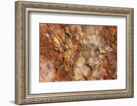 Petrified Wood in Crystal Forest, Petrified Forest NP, Arizona-Rob Sheppard-Framed Photographic Print