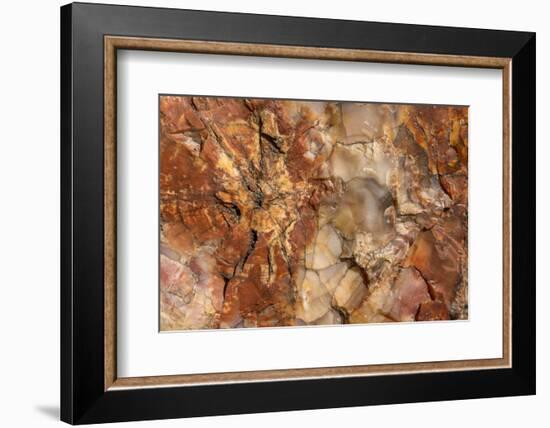 Petrified Wood in Crystal Forest, Petrified Forest NP, Arizona-Rob Sheppard-Framed Photographic Print