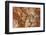 Petrified Wood in Crystal Forest, Petrified Forest NP, Arizona-Rob Sheppard-Framed Photographic Print