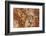 Petrified Wood in Crystal Forest, Petrified Forest NP, Arizona-Rob Sheppard-Framed Photographic Print