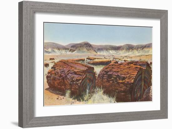 Petrified Wood in Desert-null-Framed Art Print