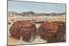 Petrified Wood in Desert-null-Mounted Art Print