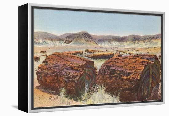 Petrified Wood in Desert-null-Framed Stretched Canvas