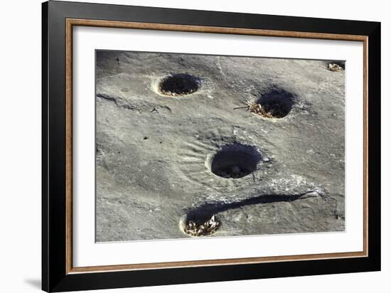 Petroglyph and Bedrock Mortar Holes, or Chaw’se, Used by Miwok to Grind Acorns and Seeds, CA-null-Framed Photographic Print