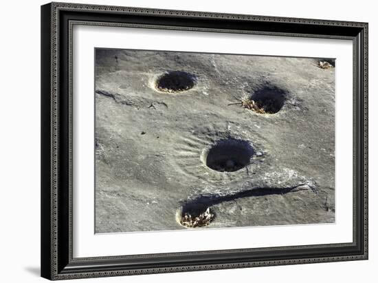 Petroglyph and Bedrock Mortar Holes, or Chaw’se, Used by Miwok to Grind Acorns and Seeds, CA-null-Framed Photographic Print