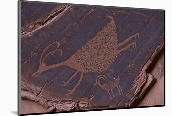 Petroglyph, Monument Valley Navajo Tribal Park, Arizona-Michel Hersen-Mounted Photographic Print
