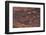 Petroglyph, Petroglyph Canyon, Valley of Fire State Park, Nevada, USA-Michel Hersen-Framed Photographic Print