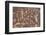 Petroglyphs at Newspaper Rock-DLILLC-Framed Photographic Print