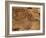 Petroglyphs Drawn in Sandstone by Anasazi Indians Around 500Ad, Valley of Fire State Park, Nevada-Fraser Hall-Framed Photographic Print