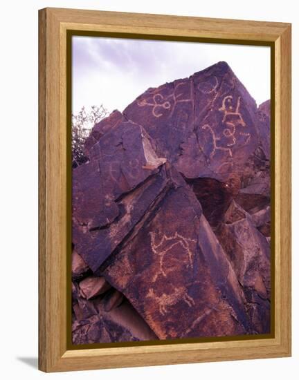 Petroglyphs in Gurvansaikhan National Park, Gobi Desert, Mongolia-Gavriel Jecan-Framed Premier Image Canvas