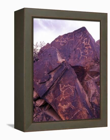 Petroglyphs in Gurvansaikhan National Park, Gobi Desert, Mongolia-Gavriel Jecan-Framed Premier Image Canvas