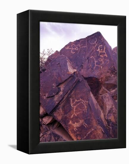 Petroglyphs in Gurvansaikhan National Park, Gobi Desert, Mongolia-Gavriel Jecan-Framed Premier Image Canvas