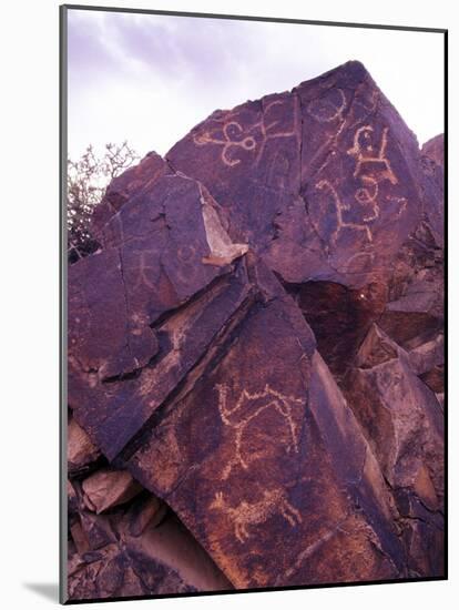 Petroglyphs in Gurvansaikhan National Park, Gobi Desert, Mongolia-Gavriel Jecan-Mounted Photographic Print
