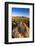 Petroglyphs on Signal Hill, Saguaro National Park, Tucson, Arizona, Usa-Russ Bishop-Framed Photographic Print